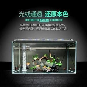 觀賞魚缸燈光亮些好嗎視頻（燈光對魚的影響） 魚缸百科 第3張