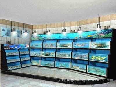 桓臺(tái)哪里有賣魚缸的市場啊視頻（桓臺(tái)縣水族館）