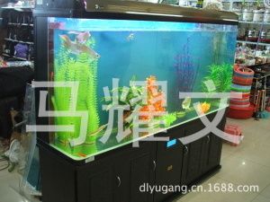 過濾比較好的魚缸可以不換水嗎為什么（魚缸可以不換水嗎？） 魚缸百科 第1張