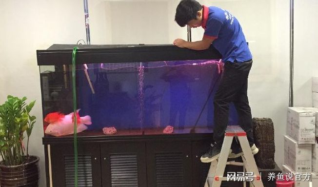 過濾比較好的魚缸可以不換水嗎為什么（魚缸可以不換水嗎？） 魚缸百科 第3張