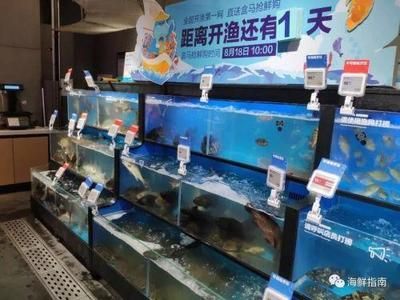 觀賞魚小型魚缸熱帶魚在拼多多屬于生鮮類嗎？（熱帶魚的起源與分類） 魚缸百科 第1張