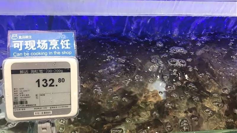 觀賞魚小型魚缸熱帶魚在拼多多屬于生鮮類嗎？（熱帶魚的起源與分類） 魚缸百科 第3張