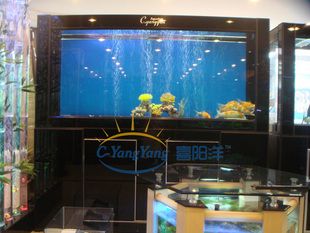 國內(nèi)魚缸排名（2024年國內(nèi)外魚缸品牌排名：閩江水族器材排名） 魚缸百科 第3張