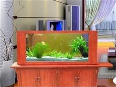 觀賞魚缸加盟品牌排行榜前十名（如何選擇觀賞魚缸加盟品牌） 魚缸百科 第3張