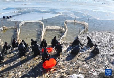 海沙可以放魚缸里養(yǎng)魚嗎（海沙可以放在魚缸里養(yǎng)魚嗎？） 魚缸百科 第3張