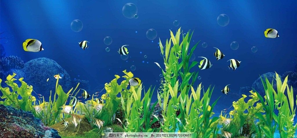 風(fēng)景水族魚缸設(shè)計(jì)（水族魚缸造景水族魚缸設(shè)計(jì)搜索結(jié)果搜索結(jié)果獲取不可忽視的影響）