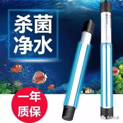 換水魚缸用殺菌燈好嗎視頻（換水魚缸使用殺菌燈的優(yōu)缺點） 魚缸百科 第1張