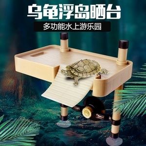 黑魚怎么養(yǎng)在魚缸里放多少水（黑魚養(yǎng)殖水質(zhì)管理全攻略水質(zhì)管理全攻略水質(zhì)管理全攻略） 魚缸百科 第2張