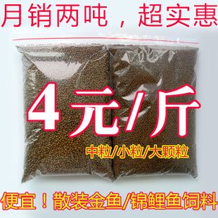 觀賞魚能吃玉米嗎（家庭養(yǎng)魚的注意事項） 其他寵物 第3張