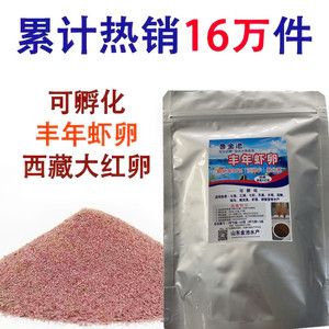 大的觀賞魚可以喂豐年蝦卵嗎（大的觀賞魚可以喂豐年蝦卵但需要注意以下幾點） 印尼虎苗 第4張