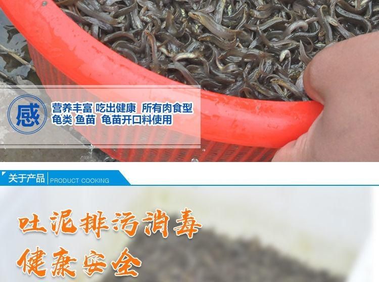 觀賞魚飼料釣魚技巧（觀賞魚飼料自制秘籍讓你的觀賞魚享受到最健康的飲食） 野生埃及神仙魚 第4張