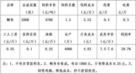 觀賞魚行業(yè)怎么樣（觀賞魚養(yǎng)殖技術(shù)的創(chuàng)新是推動(dòng)行業(yè)發(fā)展的關(guān)鍵因素） 恐龍王魚 第4張