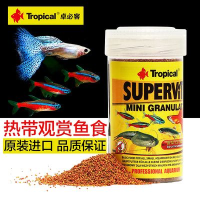 高檔觀賞魚專用SUPER（全球觀賞魚種類大盤點） 水族周邊 第3張