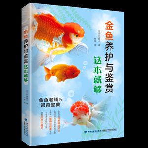 觀賞魚入門（觀賞魚養(yǎng)護(hù)技巧）