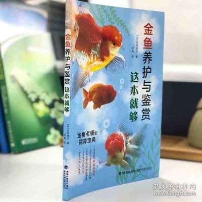 觀賞魚入門（觀賞魚養(yǎng)護(hù)技巧）