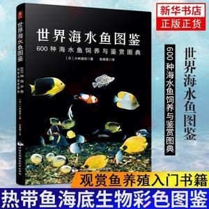 海魚觀賞魚怎么樣養(yǎng)（海水觀賞魚的飼養(yǎng)技術(shù)） 錦鯉魚 第2張