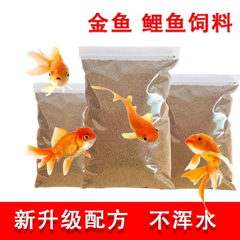 觀賞魚專用魚餌哪種好一點(diǎn)（如何選擇觀賞魚專用餌料？） 其它水族用具設(shè)備 第3張