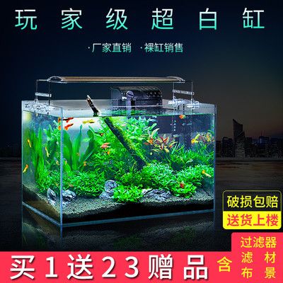 購買金魚缸（十大金魚缸品牌網(wǎng)店排行榜十大金魚缸品牌網(wǎng)店排名） 斑馬狗頭魚 第4張