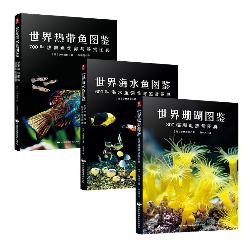 觀賞魚(yú)海魚(yú)怎么養(yǎng)（養(yǎng)觀賞魚(yú)海魚(yú)的基本方法） 丹頂錦鯉魚(yú) 第3張