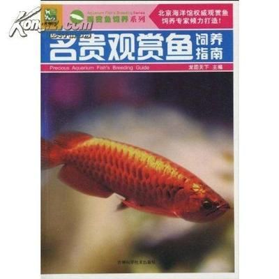 觀賞魚(yú)水族館怎么樣養(yǎng)魚(yú)（關(guān)于水族館養(yǎng)魚(yú)的一些關(guān)鍵信息） 粗線銀版魚(yú) 第3張