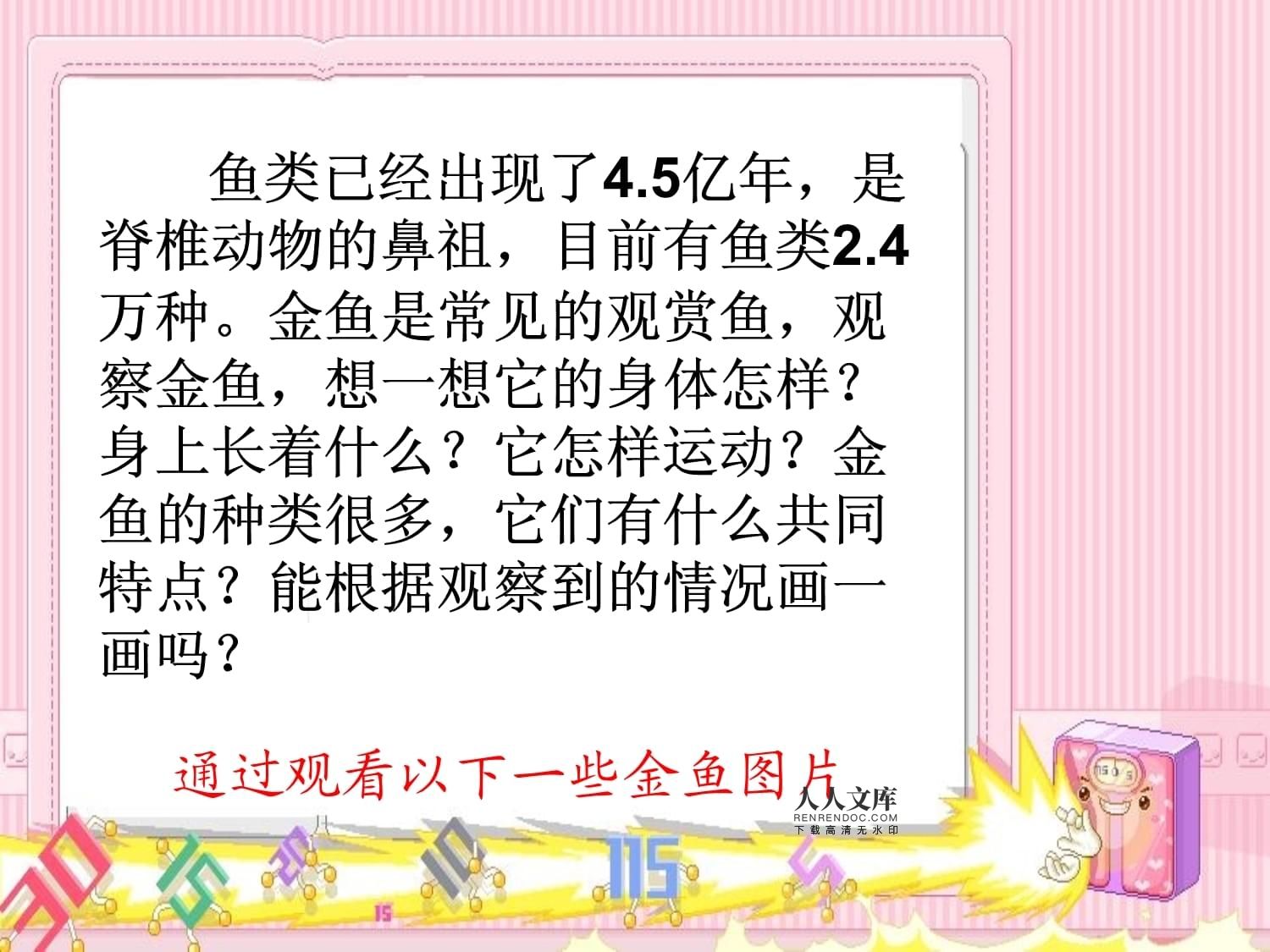 觀賞魚課件（關(guān)于觀賞魚的養(yǎng)殖知識） 南美異型魚 第4張