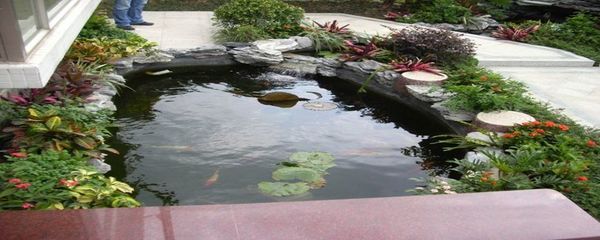 大型觀賞魚池怎樣除青苔（大型觀賞魚池除青苔方法） 祥龍傳奇品牌魚缸 第4張