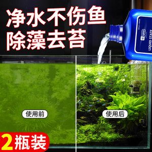 大型觀賞魚池怎樣除青苔（大型觀賞魚池除青苔方法）