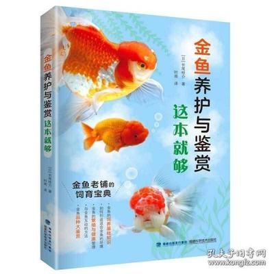 都有什么觀賞魚品種好養(yǎng)（觀賞魚的養(yǎng)護技巧） 魚缸清潔用具 第1張