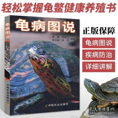 紅老虎魚百科（紅老虎魚是一種大型觀賞魚及其他海洋生態(tài)系統(tǒng)的飼養(yǎng)） 斑馬鴨嘴魚 第1張