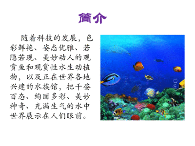 觀賞魚鑒賞選修課PPT（《觀賞魚鑒賞選修課》） 蝴蝶鯉魚苗 第1張