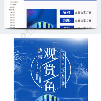 觀賞魚的文案短（觀賞魚文案短篇：水中的精靈，五彩斑斕，姿態(tài)各異） 過濾設(shè)備 第3張