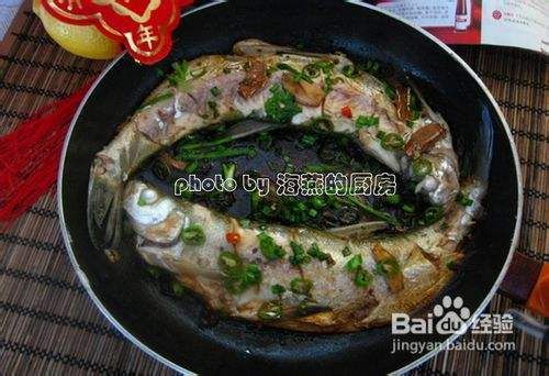 大白魚(yú)觀賞魚(yú)怎么養(yǎng)好吃視頻（大白魚(yú)的飼養(yǎng)方法和烹飪技巧） 觀賞魚(yú)市場(chǎng)（混養(yǎng)魚(yú)） 第3張