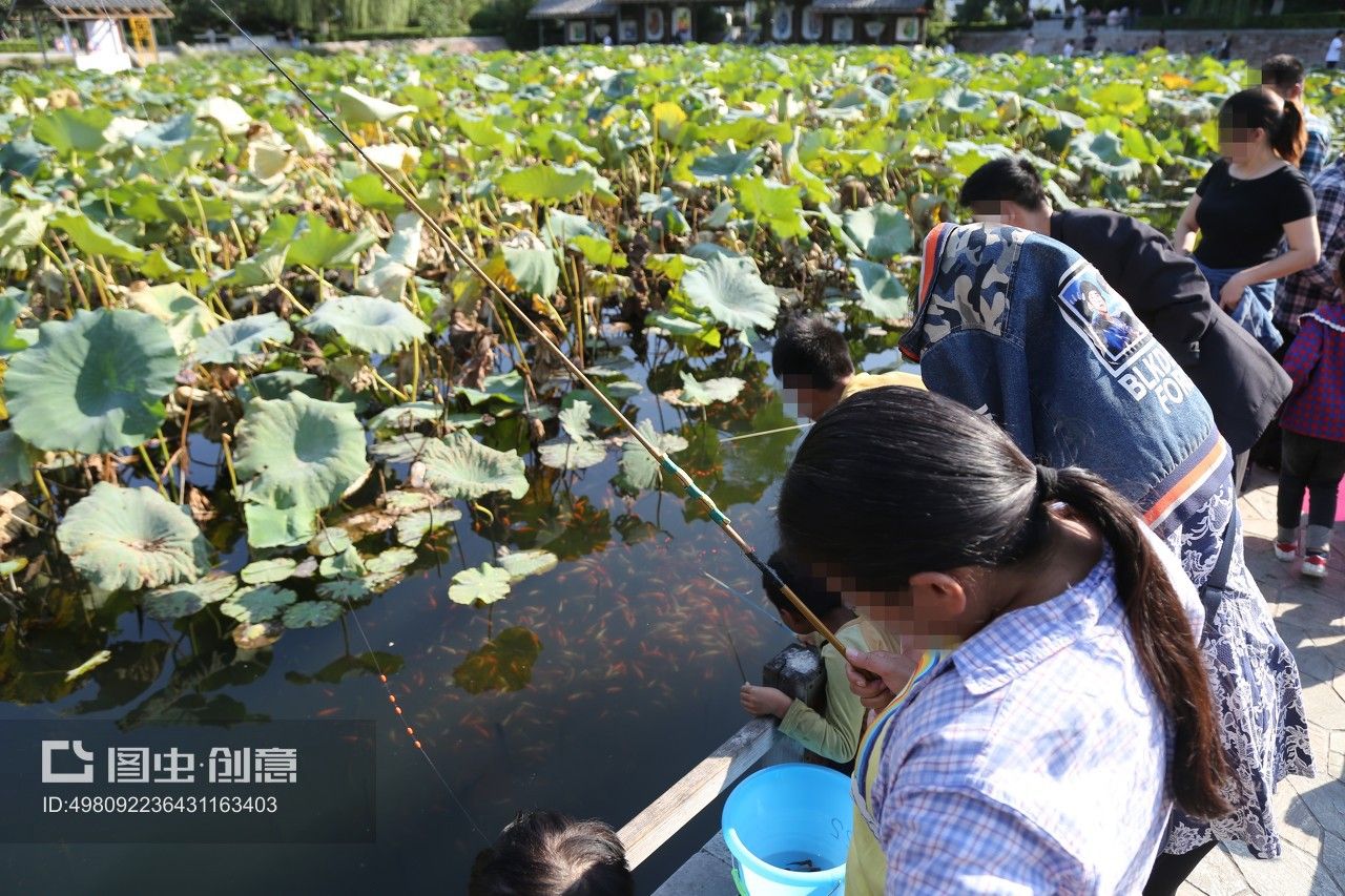 公園的觀賞魚可以釣走嗎視頻（公園釣魚的法律后果） 帝王迷宮魚 第4張