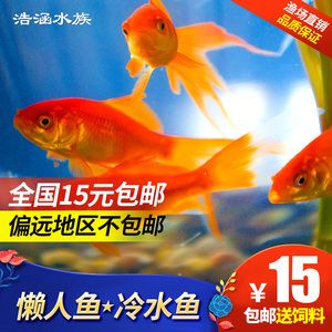 觀賞魚(yú)商城（如果你想購(gòu)買觀賞魚(yú)）