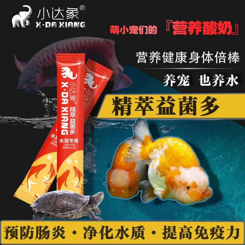 觀賞魚護理液品牌（如何選擇觀賞魚護理液） 巴卡雷龍魚 第4張