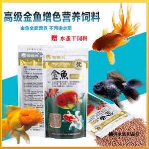 白色觀賞魚能喂增色飼料嗎有毒嗎視頻（白色觀賞魚可以喂增色飼料嗎）