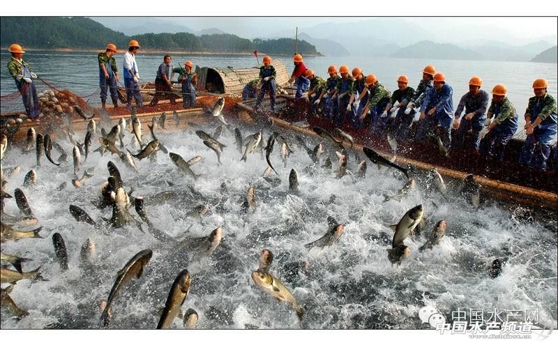 防水需要養(yǎng)水嗎（裝修后如何自我驗收） 水族周邊 第4張