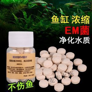 yee硝化細(xì)菌好用嗎（yee牌硝化細(xì)菌在市場上的表現(xiàn)得到了許多用戶的認(rèn)可） 斑馬鴨嘴魚苗 第1張