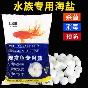 觀賞魚專用魚鹽對魚有害嗎（觀賞魚專用鹽在適當?shù)那闆r下對魚是有益的） 雙線側魚 第1張