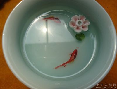 觀賞魚拍賣平臺排行榜（觀賞魚拍賣平臺排行榜觀賞魚養(yǎng)護秘籍） 觀賞魚進出口 第4張