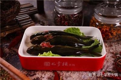 觀賞魚生意好做嗎知乎（觀賞魚養(yǎng)殖技術(shù)指南）