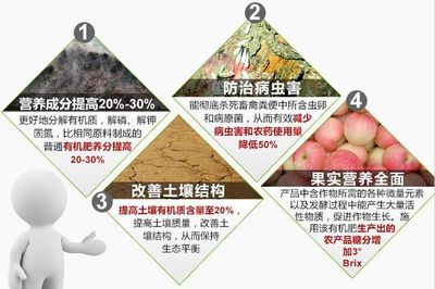 化肥和肥料的區(qū)別（化學(xué)肥料與有機(jī)肥的區(qū)別）