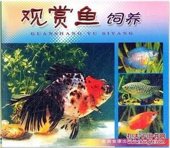 剛買回的觀賞魚怎么養(yǎng)殖（養(yǎng)殖觀賞魚的注意事項(xiàng)） 月光鴨嘴魚苗 第1張