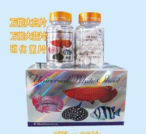 觀賞魚大白片怎么用的（大白片是一種用于治療觀賞魚疾病的使用與防范措施）