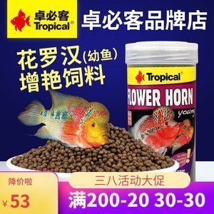 觀賞魚專用魚糧品牌推薦（如何選擇觀賞魚專用魚糧） 夢幻雷龍魚 第4張