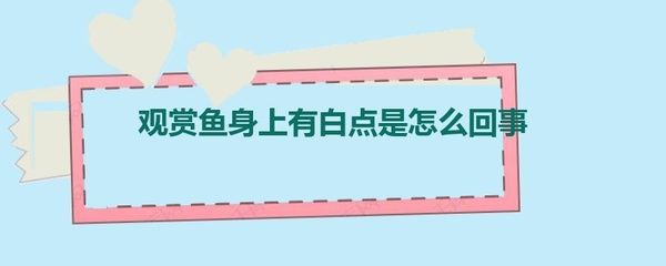 觀賞魚(yú)治療白點(diǎn)病期間能喂食嗎有毒嗎（觀賞魚(yú)治療白點(diǎn)病期間是否可以喂食以及喂食的安全性） 虎斑恐龍魚(yú) 第4張