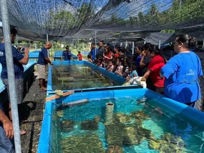 觀賞魚繁殖基地排名（觀賞魚養(yǎng)殖基地排名） 大白鯊魚 第1張