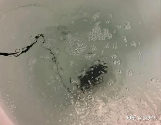 龍魚缸濾材放什么最好呢視頻（在龍魚缸濾材中加入海綿或濾棉，對水質有什么影響？） 水族問答 第3張