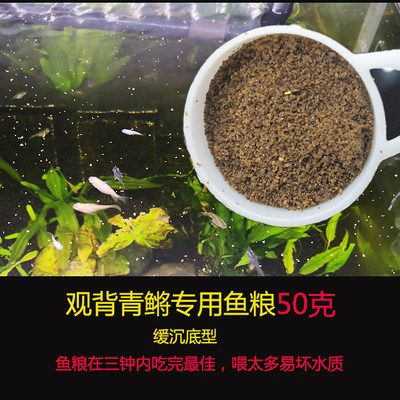 白色觀賞魚(yú)能喂增色飼料嗎有毒嗎（觀賞魚(yú)增色飼料的選擇與使用） 觀賞魚(yú)進(jìn)出口 第3張