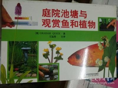 觀賞魚屬于動(dòng)物嗎還是植物（觀賞魚屬于動(dòng)物界，而不是植物界） 龍魚專用燈 第1張